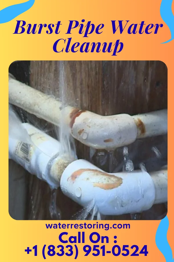 Burst Pipe Water Cleanup in Edwardsville, AL